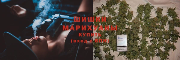индика Гусев