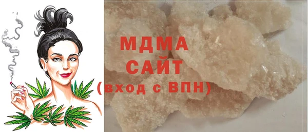 индика Гусев