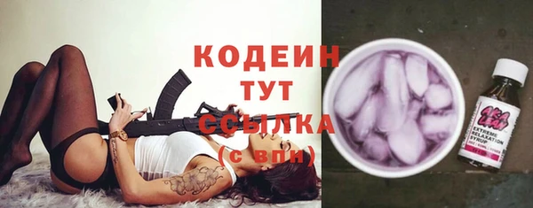 индика Гусев
