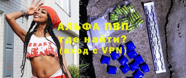 индика Гусев