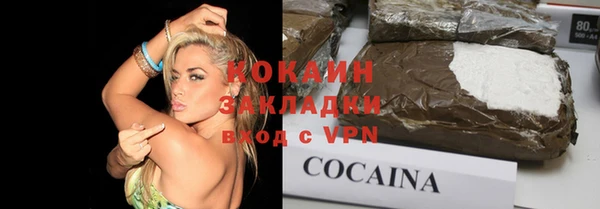 индика Гусев