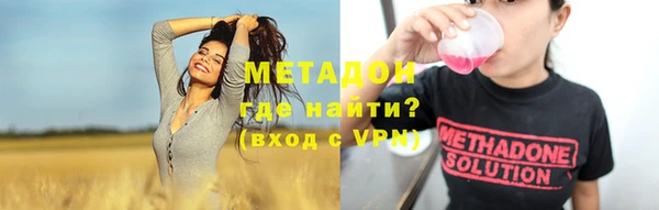 индика Гусев