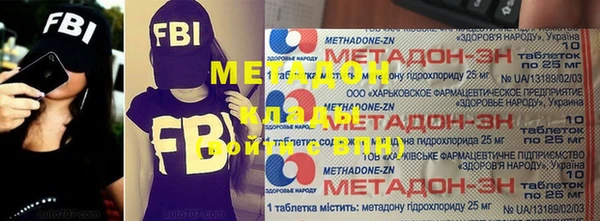 индика Гусев