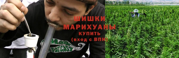 индика Гусев