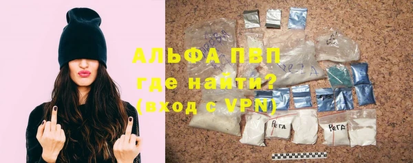 индика Гусев