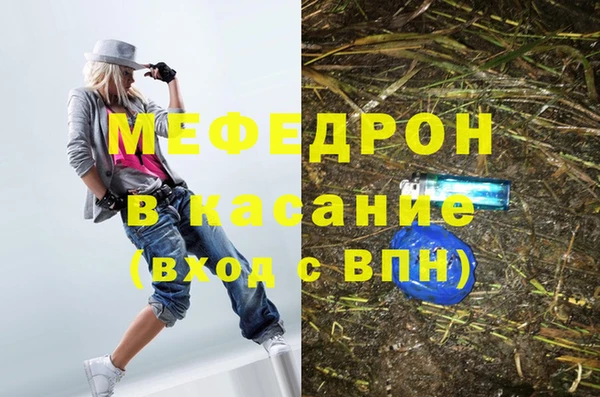 индика Гусев