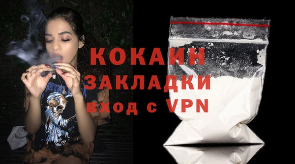 индика Гусев