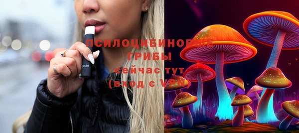 jwh Гусь-Хрустальный
